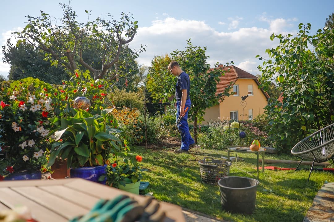 Jardín en invierno: cómo proteger tus plantas de las heladas