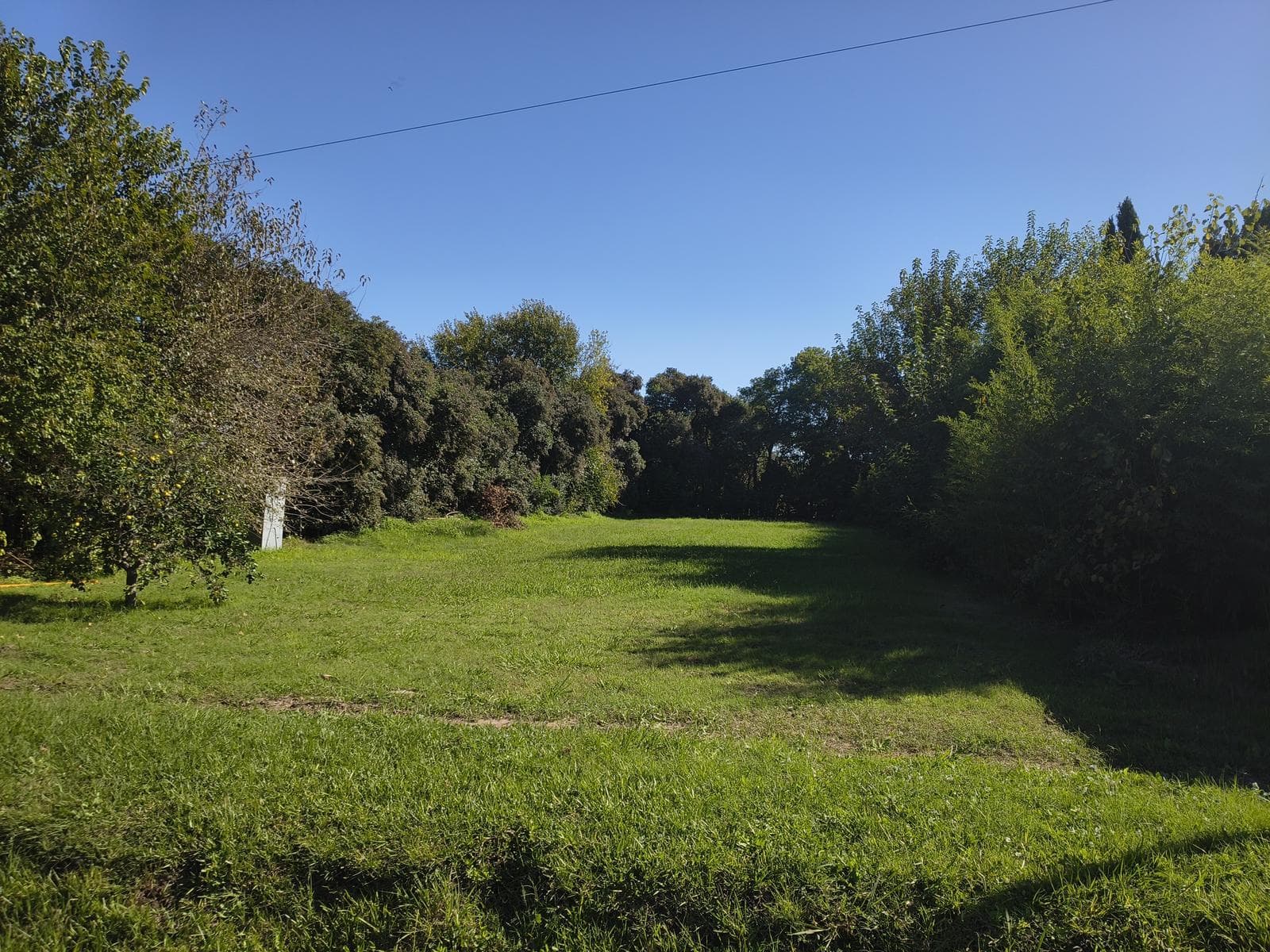 Terreno en Venta en Los Morros Funes