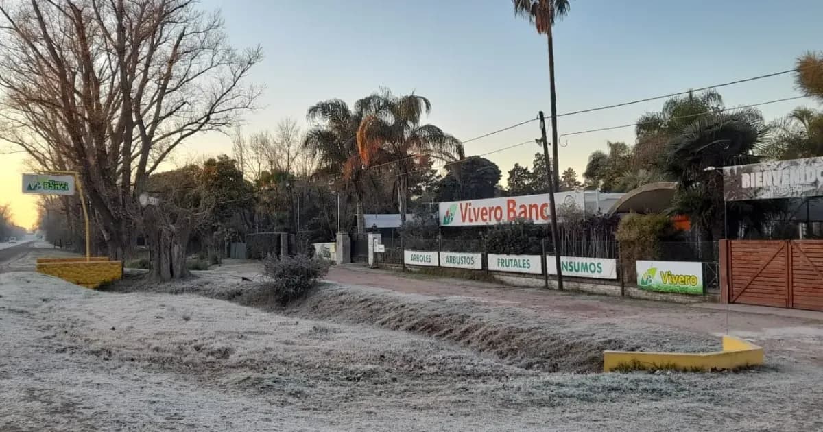 Heladas en Roldán y Funes: qué hacer con el jardín después de este invierno