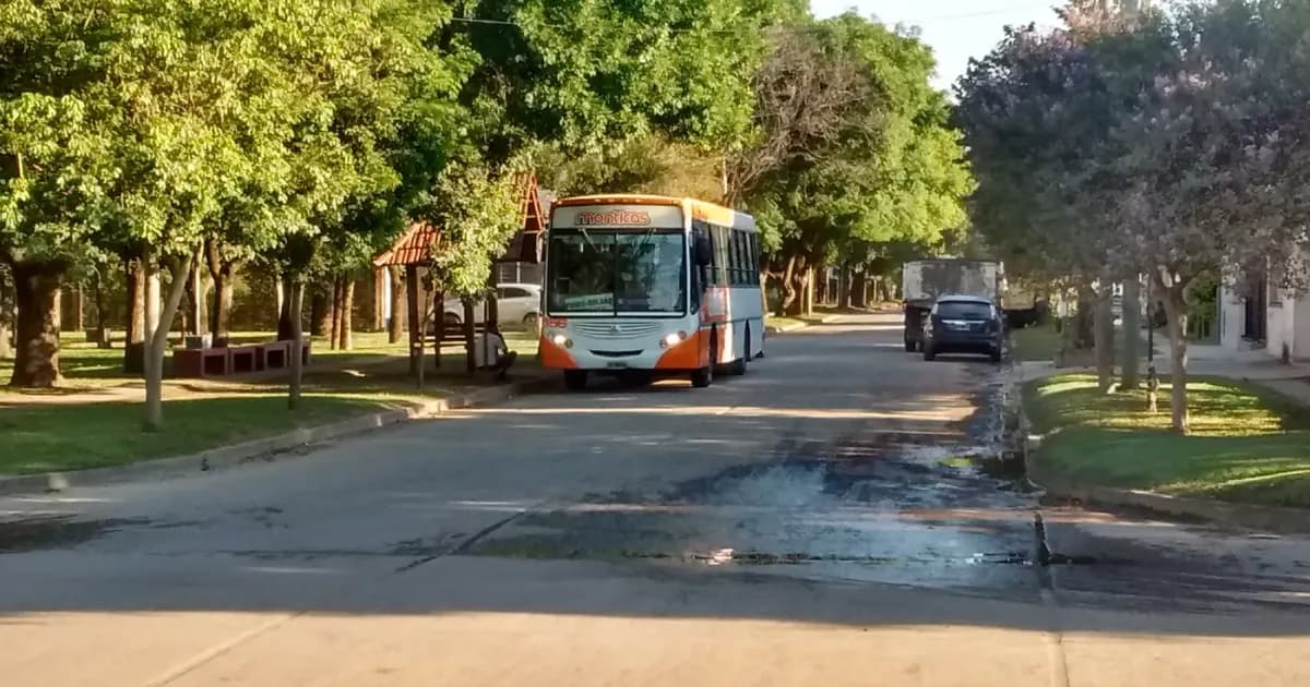 Roldán suma dos colectivos 0km: qué cambia para quien vive en el oeste